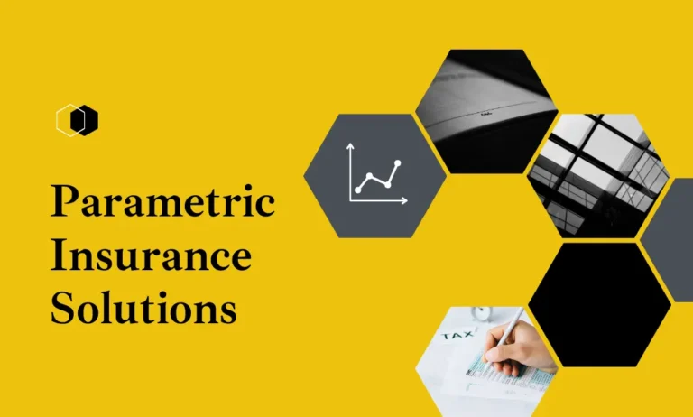 Parametric Insurance Solutions